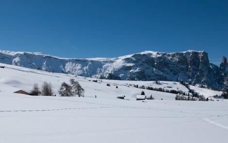 Schneebedeckte Winterlandschaft in den Bergen
